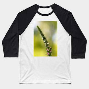 A close up of Spikes of pink Veronica flowers, selective focus Baseball T-Shirt